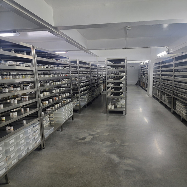 Guangzhou plant fragrance Co., Ltd Produktionslinie des Herstellers
