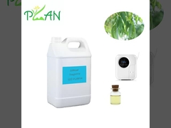 Eukalyptus-Diffusor Duftstoffe reine natürliche Frankreich Teebaumöl Duftstoff