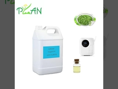 Reiner natürlicher Teebaum Weißer Tee Duft Essenzöl Diffusor Aromatherapie Duftstoffe