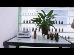 Großhandel Preis kostenlos Proben Langlebiger Midnight Duft Marke Imitation Öl Frau Parfum