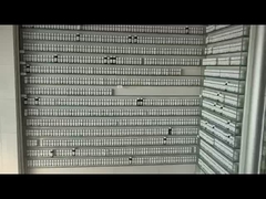 Großhandel Jasmin Duftblumen Flüssigöl Geschirr Seife Parfum