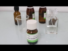 Rose Duftöle - Carlotta Essence für Parfüm LDZ-PL10039