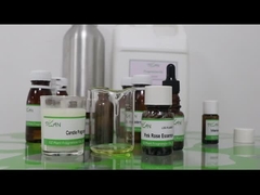 Kostenlose Proben Duftkerze Rosa Rose Duft Essenz Öko-freundlich