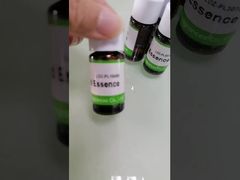 Konzentrierte Victoria's Secret Magic Fragrance Essence ansehen mit Gratis-Probe IFRA-Standards Demo