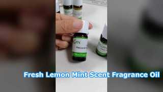 Zitronen-Minz-Duftöl für frische Raumdüfte