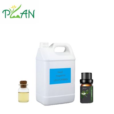 Natürliches Essbares Kleines Jasminöl, hochkonzentriert für Lebensmittel und Getränke