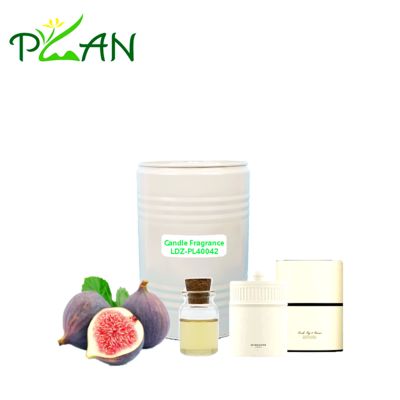 ISO-Qualität Feigen-Schwarzer Johannisbeere Kerzen Duftöl mit bis zu 60 Stunden Brennzeit und 24 Monate Haltbarkeit