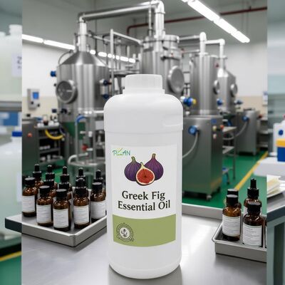 Reine Duftöle Griechische Feigen Essenz für den täglichen Gebrauch Parfüm Herstellung / Produktionen mit kostenloser Probe