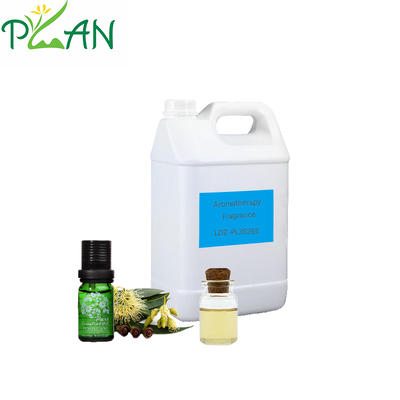 Diffusor-Duft mit kostenloser Probe von Rosmarin- und Eukalyptus-Duftöl für Schilfstäbchen, Kaltduftkerzen und Diffusor-Duftherstellung/-produktion