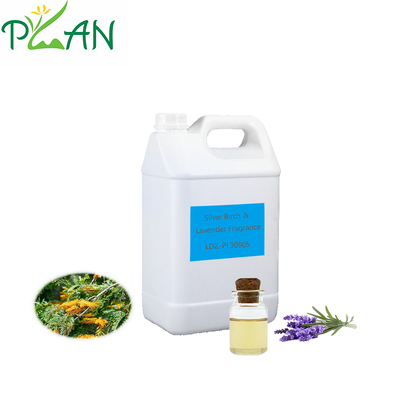 Kostenlose Probe Heim Diffuser Duft Silber Birke & Lavendel Duftöl für Reed Stick & Kalt Duftkerze & Diffuser Duft Herstellung / Produktion